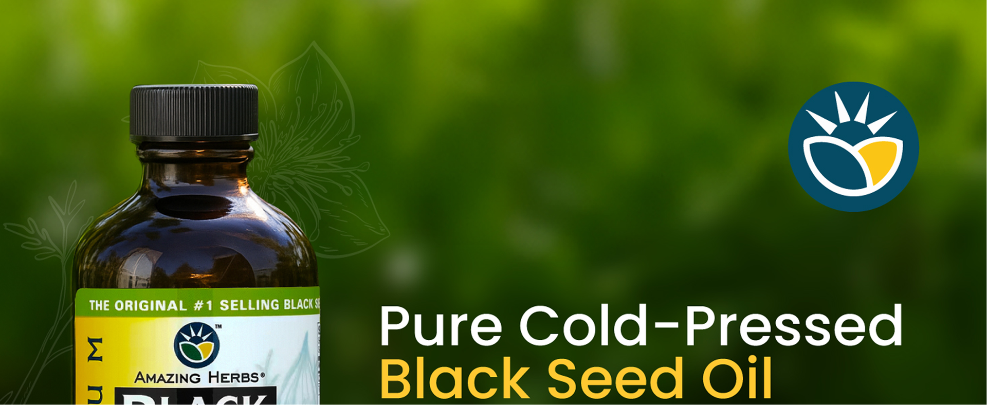 Amazing Herbs Premium Black Seed Oil Liquid - 8 Fl Oz Glass Bottle