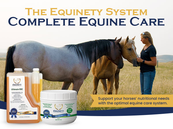 Equinety Ultimate OEC Horse Oil for Coat, Hoof & Joint Support, 64 fl. oz.