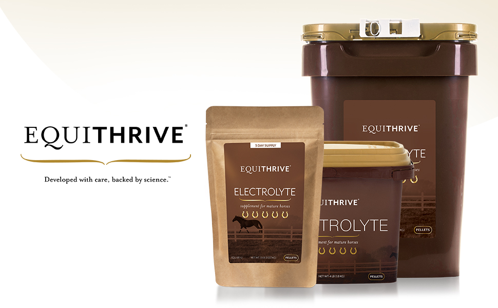 Equithrive Electrolyte Pellets Horse Supplement, 4 lbs, 20 Day Supply