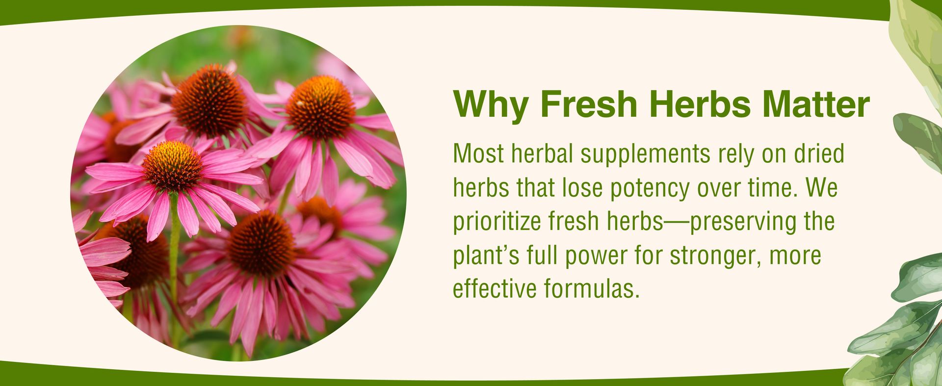 Herbs Etc. Deep Sleep Softgels, Organic Chamomile & Lemon Balm, 60 Count
