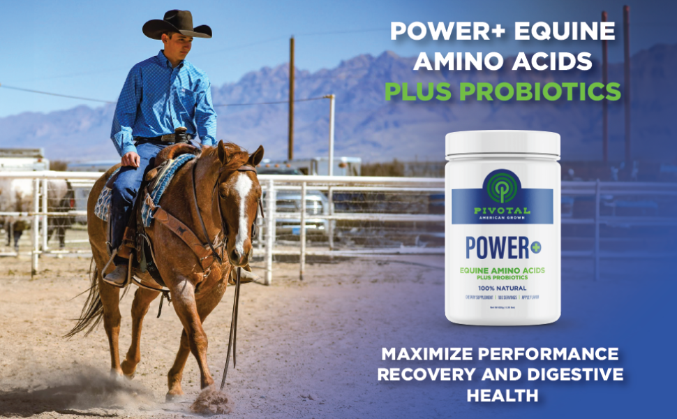 Pivotal Feeds Equine Total Recovery Supplement, 100 Servings