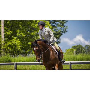 Vita Flex Pro DMG 3000 Horse DMG Concentrate, 4 lbs, 128-Day Supply