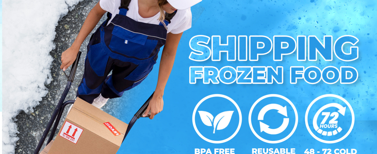 Dry Ice Packs for Shipping - Long Lasting ice Packs - 24+ Hour Freeze Power - BPA Free - 12 Pack Bulk 3 lb – Hielo Seco - Reusable Gel Bricks for Food