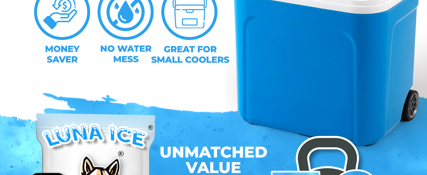 Dry Ice Packs for Shipping - Long Lasting ice Packs - 24+ Hour Freeze Power - BPA Free - 12 Pack Bulk 3 lb – Hielo Seco - Reusable Gel Bricks for Food