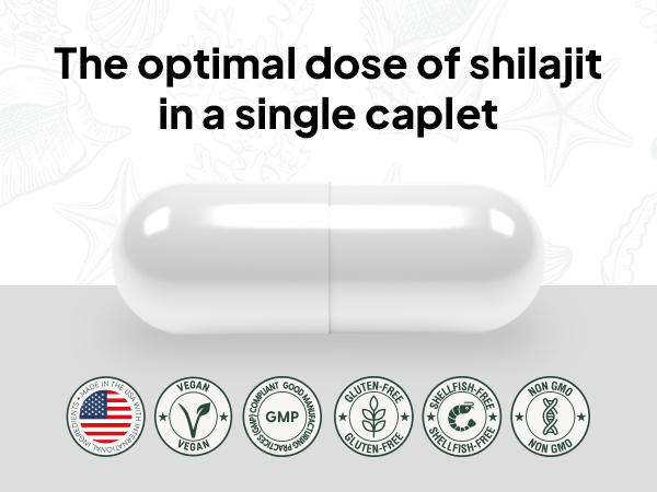 Organics Ocean One-Per-Day Himalayan Shilajit Capsules, 30 Capsules