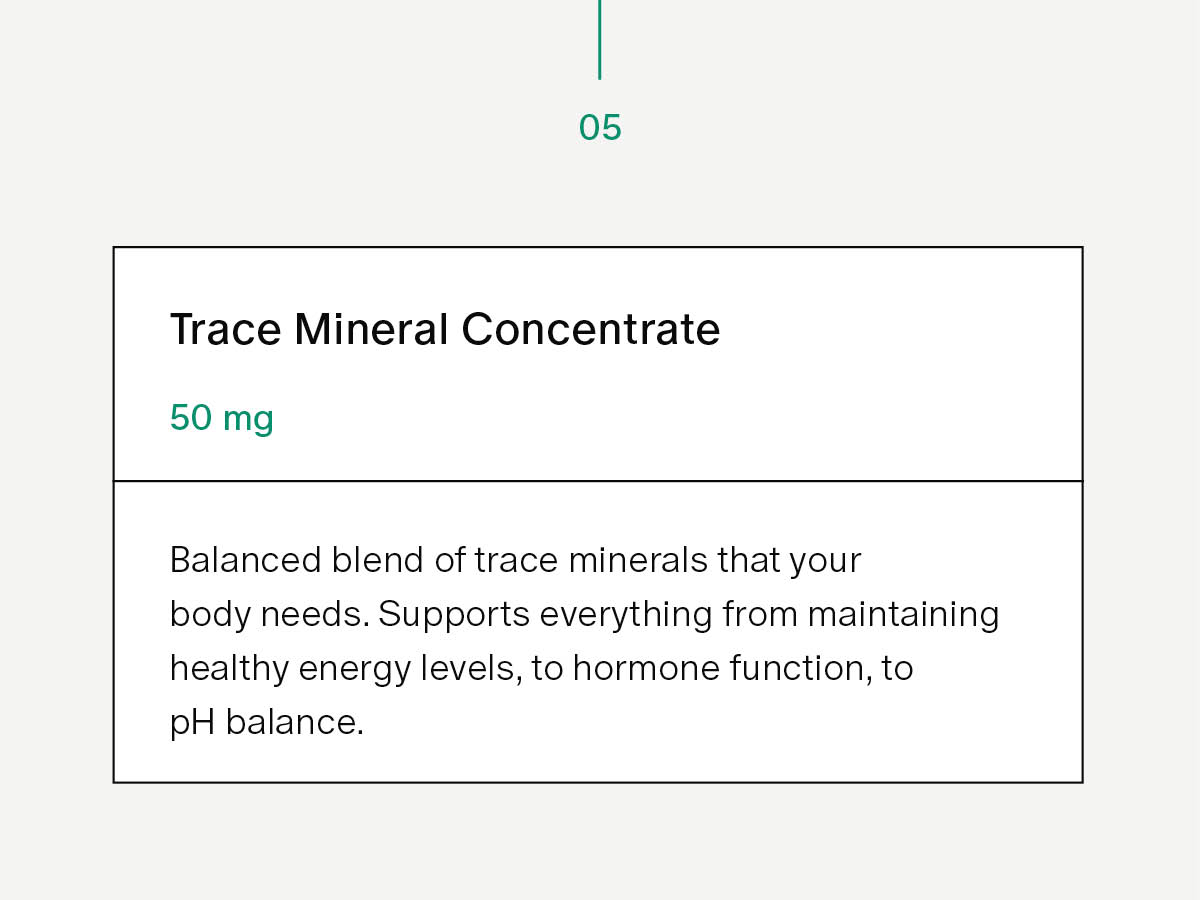 Needed. Hydration Support with Electrolytes & Trace Minerals, Lemon