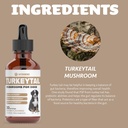 turkey-tail-mushroom-for-dogs-helps-to-b-6.jpg