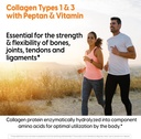 doctors-best-collagen-types-1-3-with-pep-6.jpg