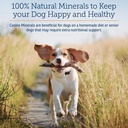 rx-vitamins-canine-minerals---essential--2.jpg