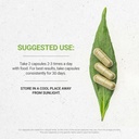 secrets-of-the-tribe-artichoke-120-capsu-2.jpg