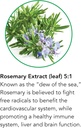 botanic-choice-passion-flower-rosemary-l-4.jpg