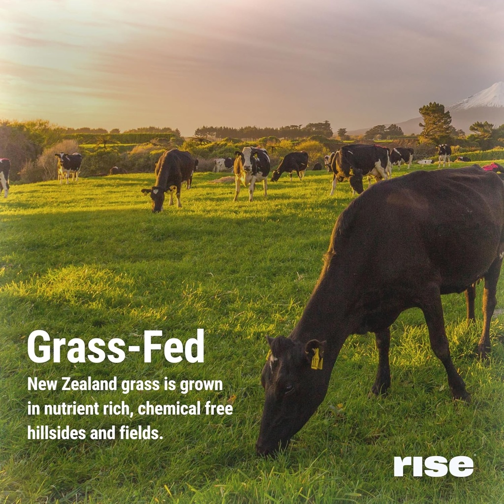 rise-grass-fed-whey-protein-powder---min-6.jpg