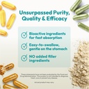andrew-lessman-ginger-450-360-capsules-s-3.jpg