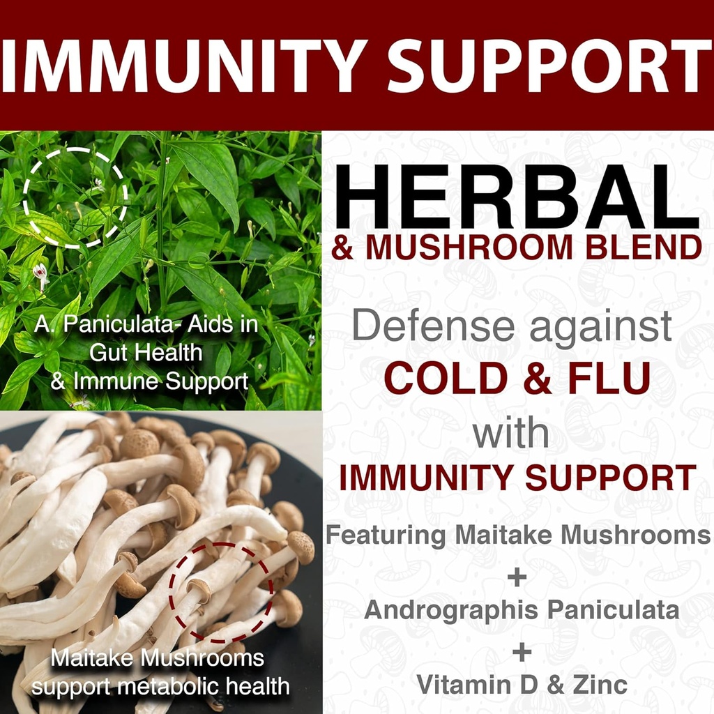 mushroom-supplement-for-immune-support---5.jpg