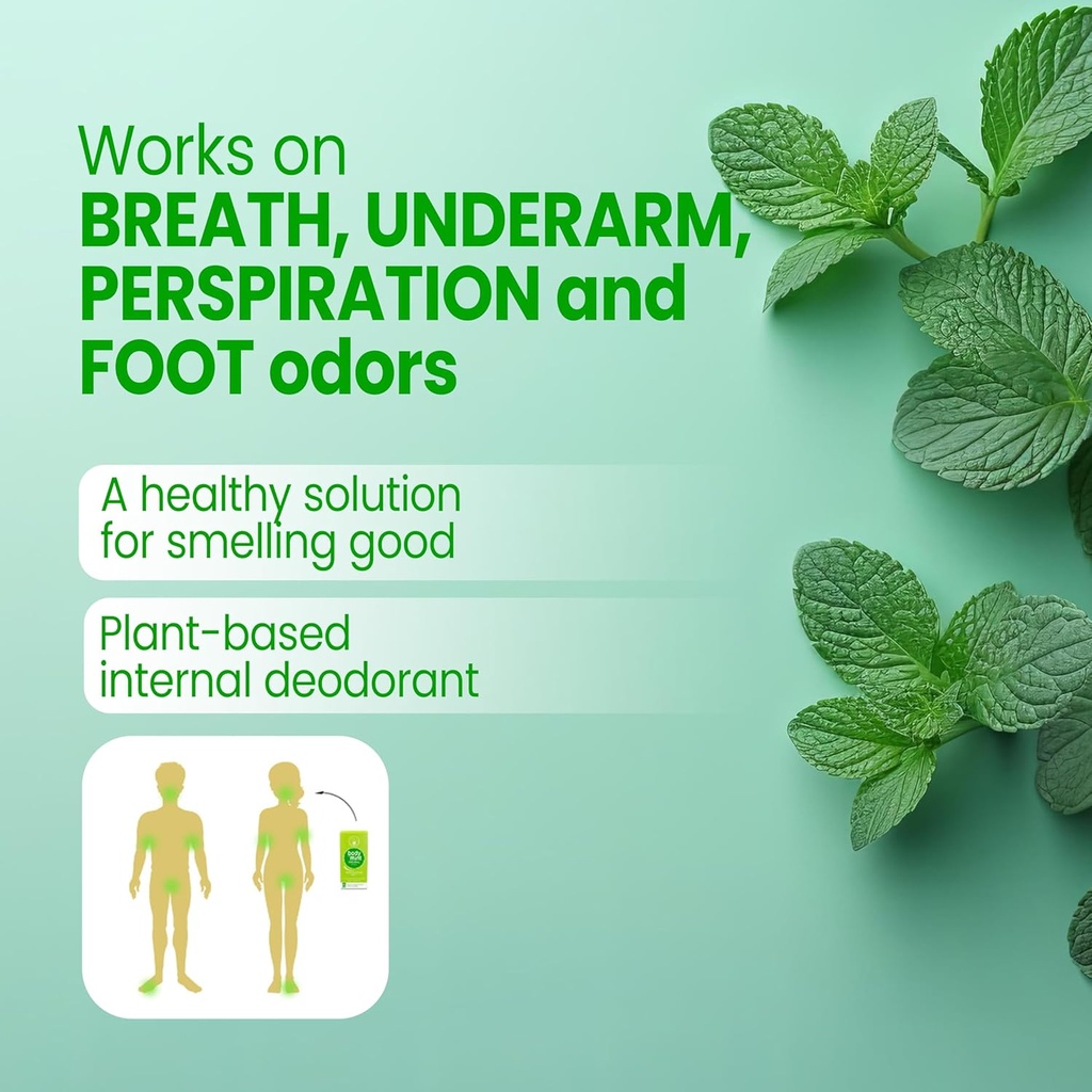 body-mint-original-chlorophyll-deodorizi-3.jpg