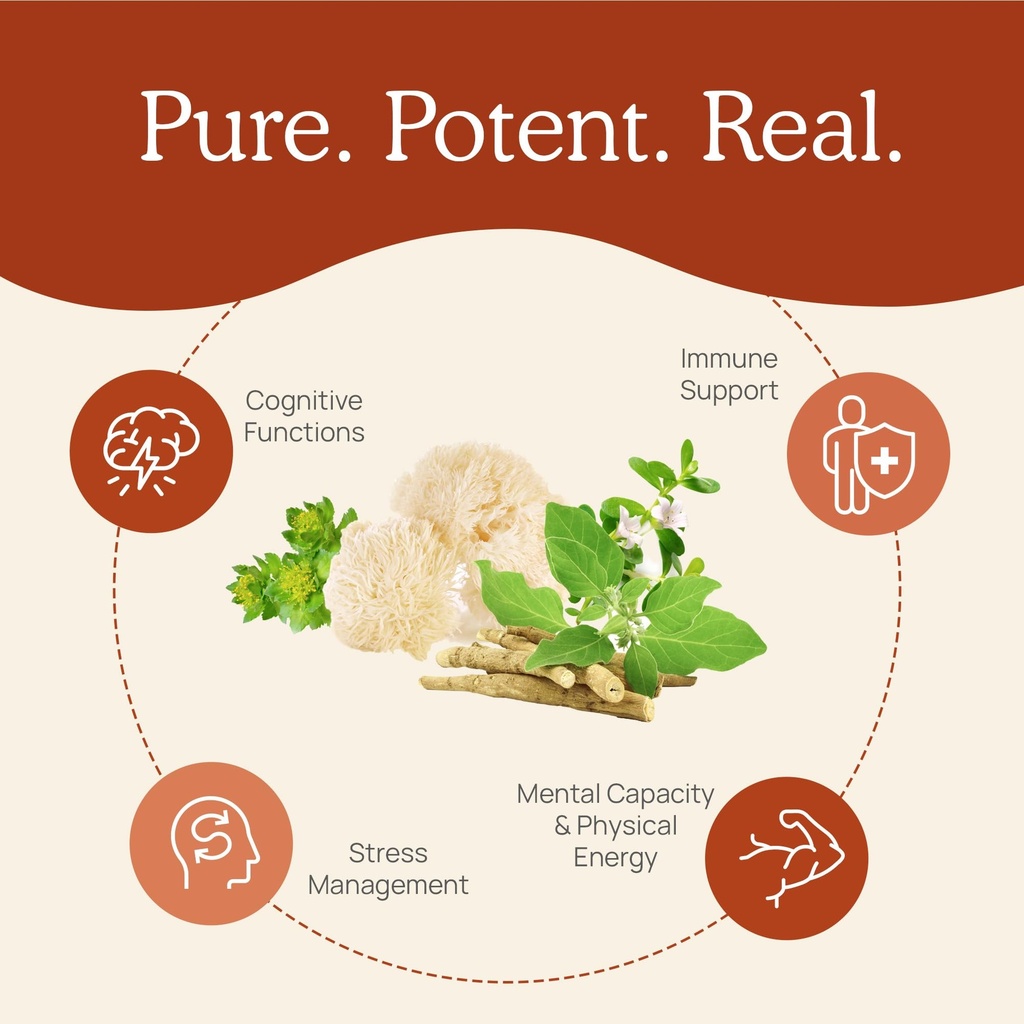 real-mushrooms-realclarity-60ct-lions-ma-4.jpg