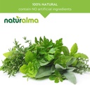 naturalma-gotu-kola-centella-asiatica-he-4.jpg