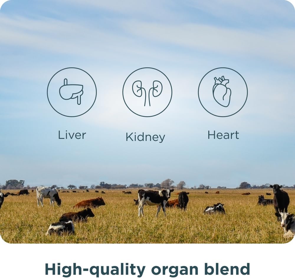 ancient-nutrition-organ-supplements-once-5.jpg