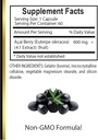 acai-berry-extract---powerful-antioxiden-5.jpg