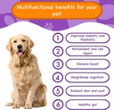 multifunctional-dog-supplements-and-vita-2.jpg