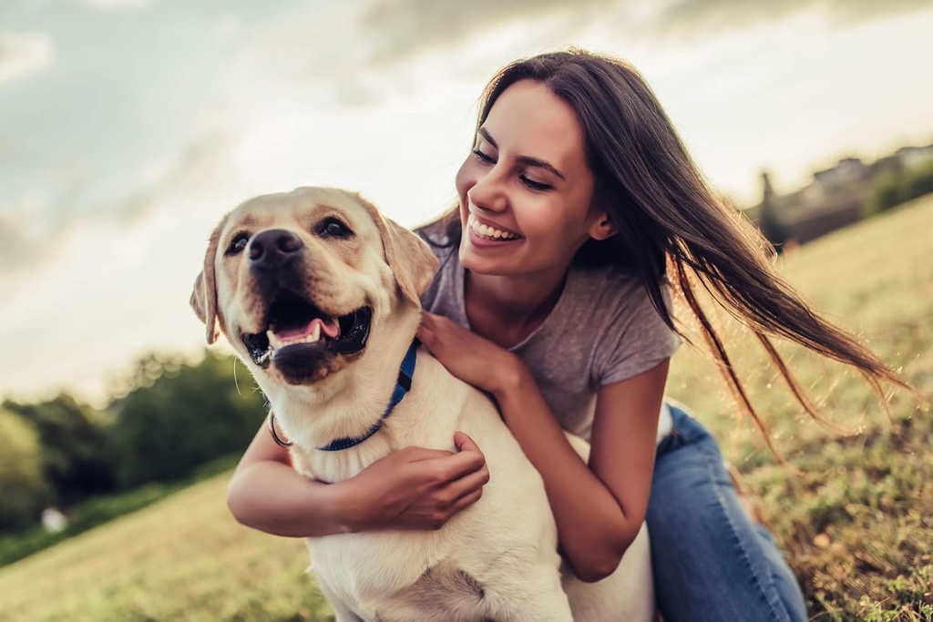 kidney-bladder-relief-dog---dog-urinary--2.jpg