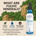 buried-treasure-fulvic-mineral-drops-295-3.jpg