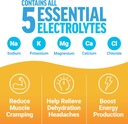 force-factor-liquid-labs-electrolytes-po-2.jpg