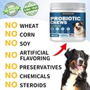 probiotics-for-dogs-improve-itchy-skin-i-5.jpg