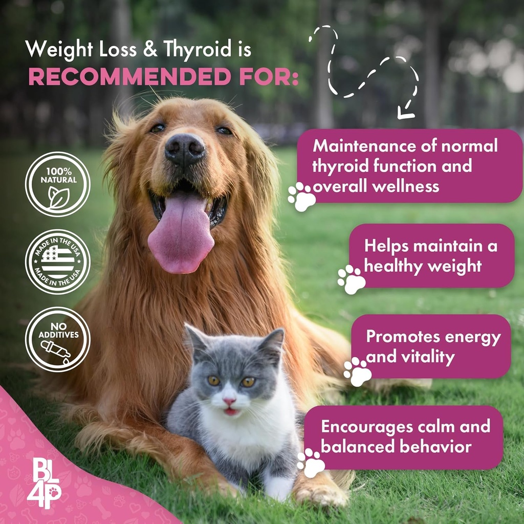 weight-thyroid-support-for-dogs-and-cats-6.jpg