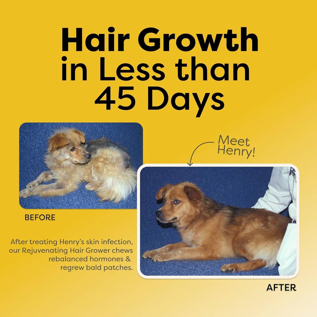 doc-itchy-rejuvenating-hair-grower-dog-p-4.jpg