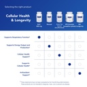 pure-encapsulations-nac-600-mg-90-caps-81QzQ+Sv54L.jpg