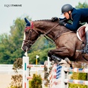 equithrive-electrolyte-pellets-horse-sup-913h053Gv6L.jpg