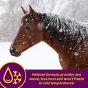 farnam-horse-health-red-cell-pellets-vit-91i1pABOKRL.jpg