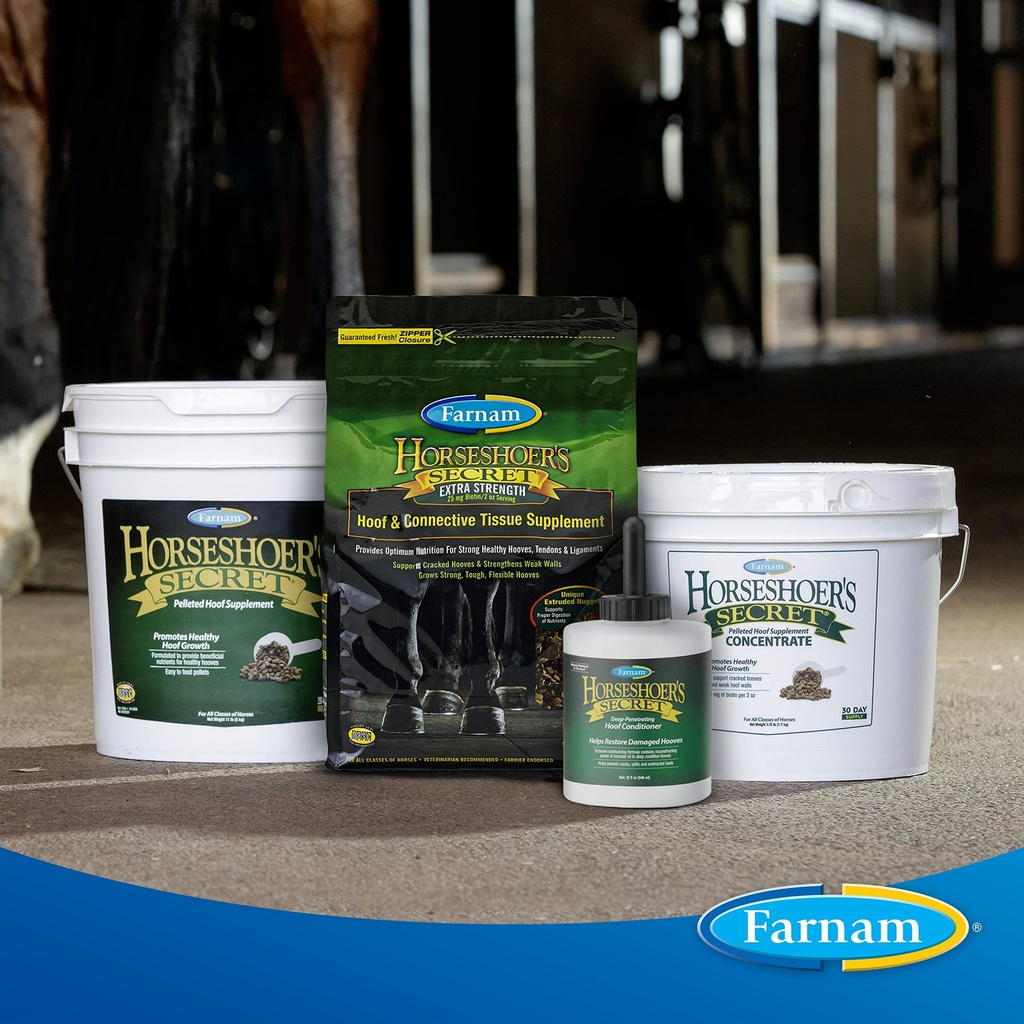farnam-horseshoer-s-secret-extra-strengt-91ysZ8Q2D6L.jpg