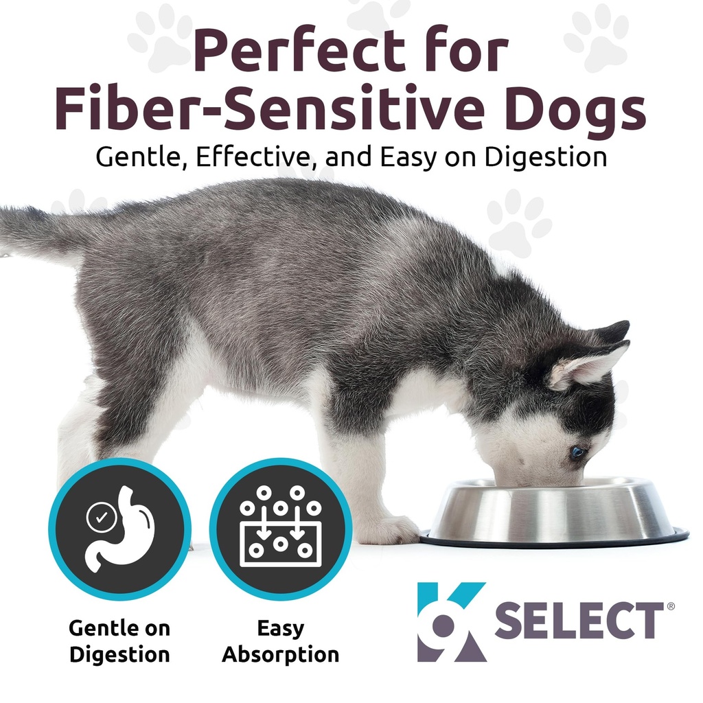 k9-select-hmr-lignans-for-dogs-enhancer--81E32BgGPIL.jpg