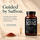 memory-mood-cognition-supplement-for-adu-81pJdO-azYL.jpg