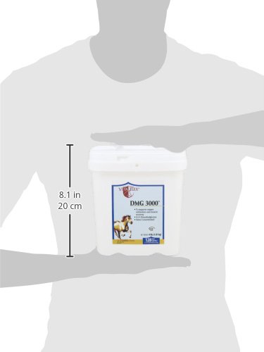 vita-flex-pro-dmg-3000-horse-dmg-concent-31epmKon+mL.jpg