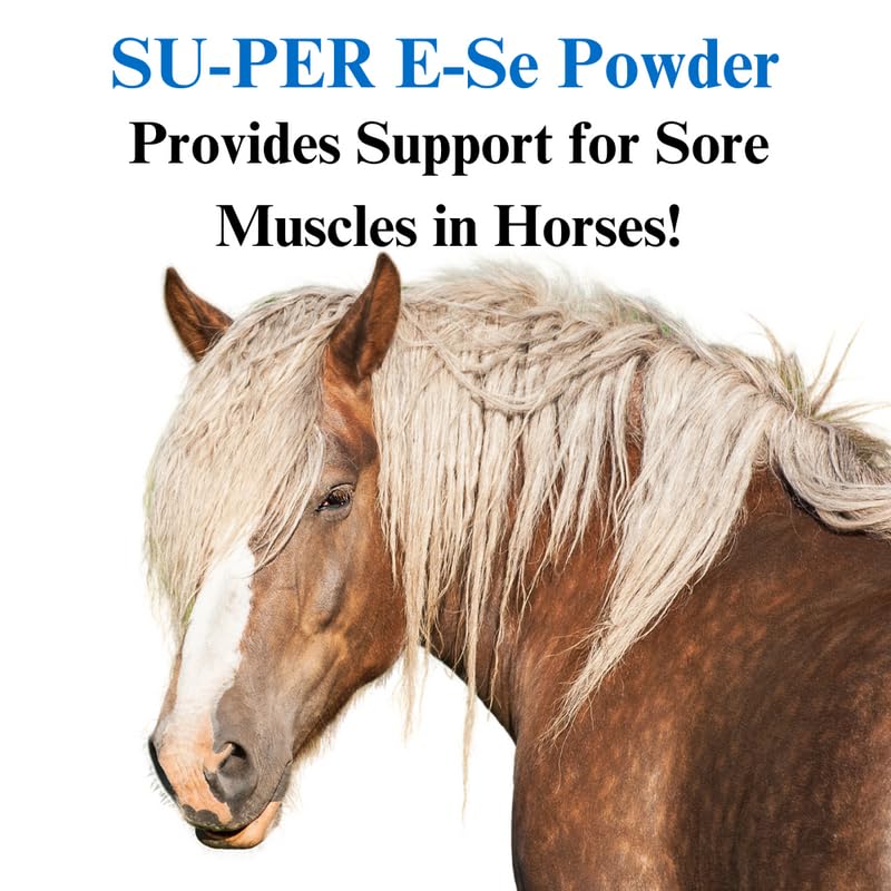 su-per-e-se-horses-antioxidant-supplemen-61qXxfYQ26L.jpg