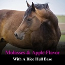 su-per-e-se-horses-antioxidant-supplemen-51dq0N662dL.jpg