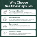organics-ocean-wild-sea-moss-with-bladde-714YLFNf7bL.jpg