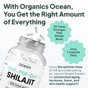 organics-ocean-one-per-day-himalayan-shi-71Cavch6V2L.jpg
