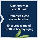 life-extension-super-omega-3-epa-dha-fis-71ZTO8oi2IL.jpg