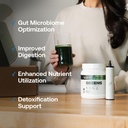 transparent-labs-prebiotic-greens-superf-61DAtQVL-IL.jpg