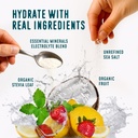 flavcity-electrolytes-powder-packets-28--81tlzoythvL.jpg