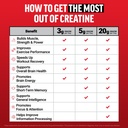 force-factor-creatine-monohydrate-powder-81jUdiXMMGL.jpg
