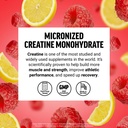 force-factor-creatine-monohydrate-powder-81Sj54m6+sL.jpg