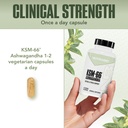 nutrabio-ashwagandha-ksm-66-ashwagandha--71fcoOBTk1L.jpg