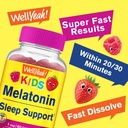 wellyeah-kids-melatonin-gummies-1-mg-2-p-4.jpg