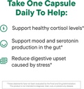 daily-nouri-stress-support-probiotic-for-3.jpg