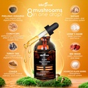 kiki-green-8-mushrooms-powder-liquid-ext-3.jpg